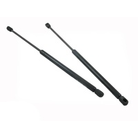Pair Tailgate Gas Struts For Ford Falcon AU BA BF 98-08 Station Wagon